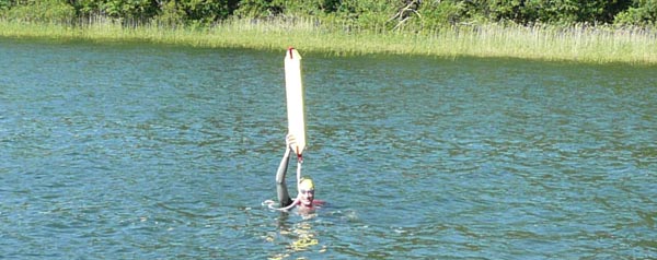 Svømmetorpedo lodret signal